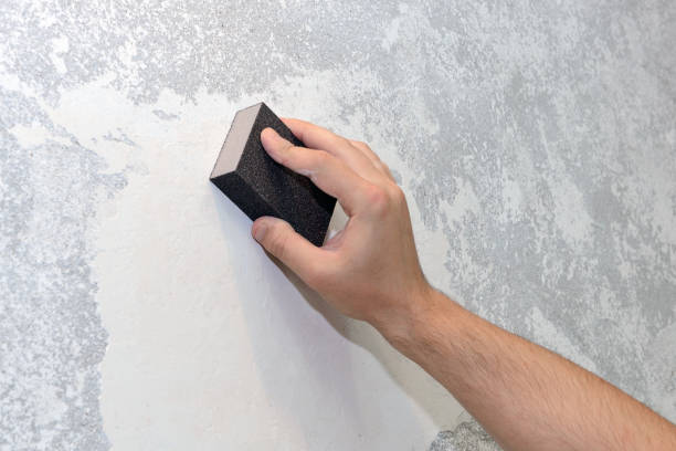 Mold Odor Removal Services in Monteagle, TN