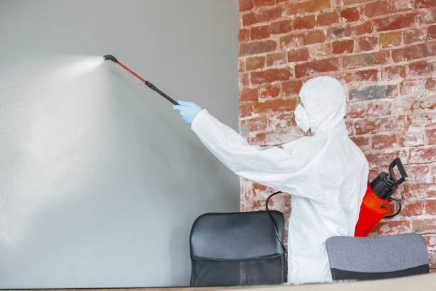 Best Forensic Mold Investigation  in Monteagle, TN