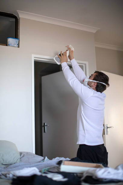 Best Environmental Consulting for Mold Prevention  in Monteagle, TN
