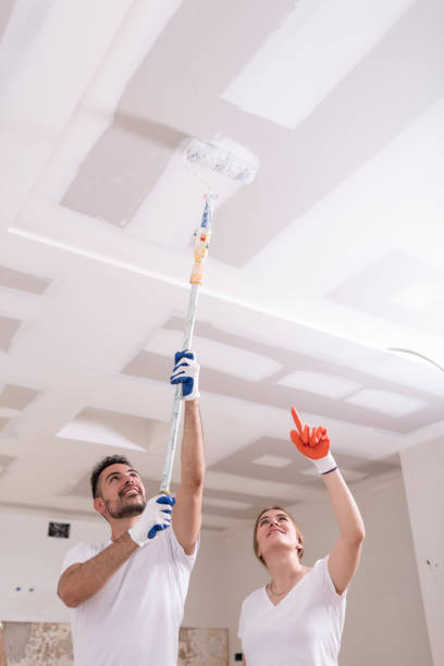 Best Water Damage & Mold Remediation  in Monteagle, TN
