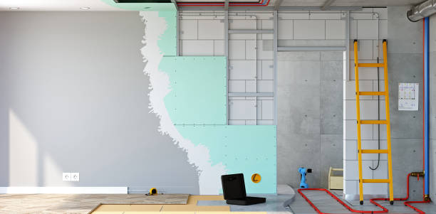 Professional Mold Removal in Monteagle, TN
